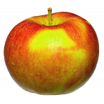 Äpfel Demeter Elsatar